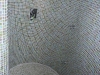 p1000173